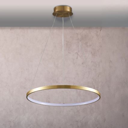 LED Lustra ar auklu LEA LED/20W/230V 4000K d. 50 cm zelta