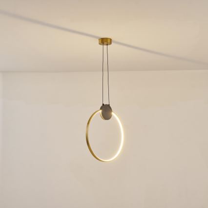 LED Lustra ar auklu LED/10W/230V 3000K