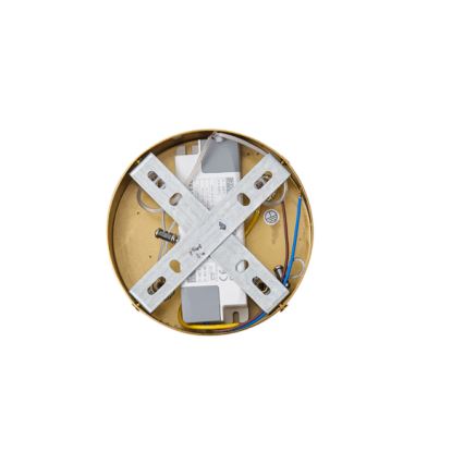 LED Lustra ar auklu LED/19W/230V 3000K