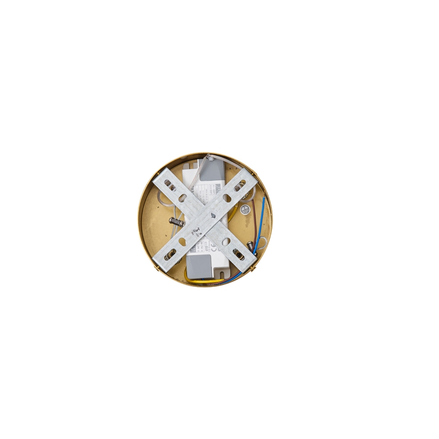 LED Lustra ar auklu LED/19W/230V 3000K