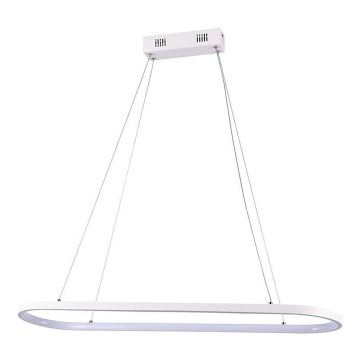 LED Lustra ar auklu LED/24W/230V 3000K balta