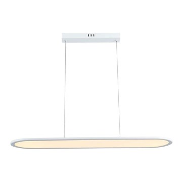 LED Lustra ar auklu LED/24W/230V 3000K balta