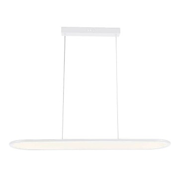 LED Lustra ar auklu LED/24W/230V 4000K balta