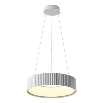 LED Lustra ar auklu LED/30W/230V 3000K balta
