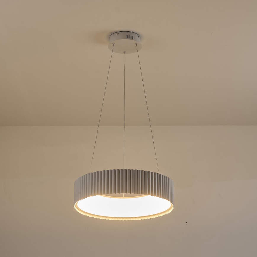 LED Lustra ar auklu LED/30W/230V 3000K balta