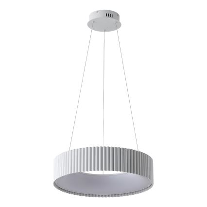 LED Lustra ar auklu LED/30W/230V 3000K balta