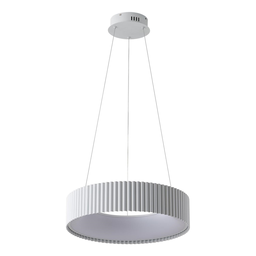 LED Lustra ar auklu LED/30W/230V 3000K balta