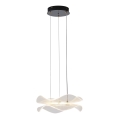 LED Lustra ar auklu LED/34W/230V 3000K