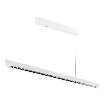 LED Lustra ar auklu LED/36W/230V 3000/4000/6400K balta