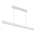 LED Lustra ar auklu LED/36W/230V 3000/4000/6400K balta