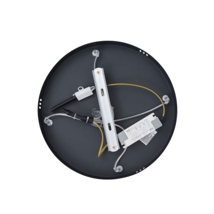 LED Lustra ar auklu LED/38W/230V 3000K