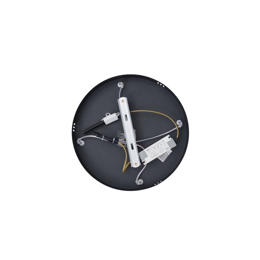LED Lustra ar auklu LED/38W/230V 3000K