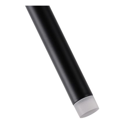 LED Lustra ar auklu LED/3W/230V 3000K d. 5 cm