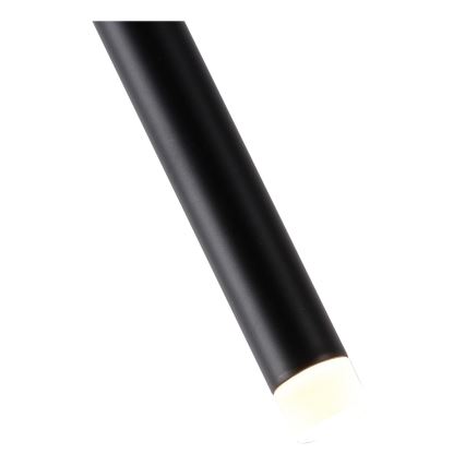 LED Lustra ar auklu LED/3W/230V 3000K d. 6 cm
