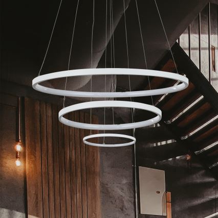 LED Lustra ar auklu LED/42W/230V 3000K balta