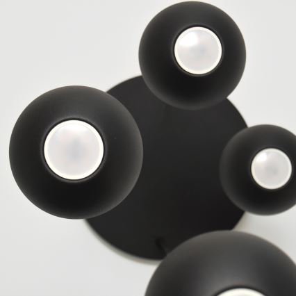 LED Lustra ar auklu MIDWAY 4xGU10/4,8W/230V melna