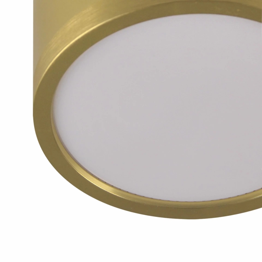 LED Lustra ar auklu MIRELLA 4xGX53/6W/230V zelta/melna