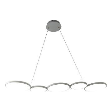 LED Lustra ar auklu OLYMPIA 5xLED/10W/230V pelēka