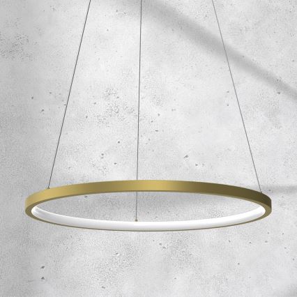LED Lustra ar auklu ROTONDA LED/27W/230V zelta