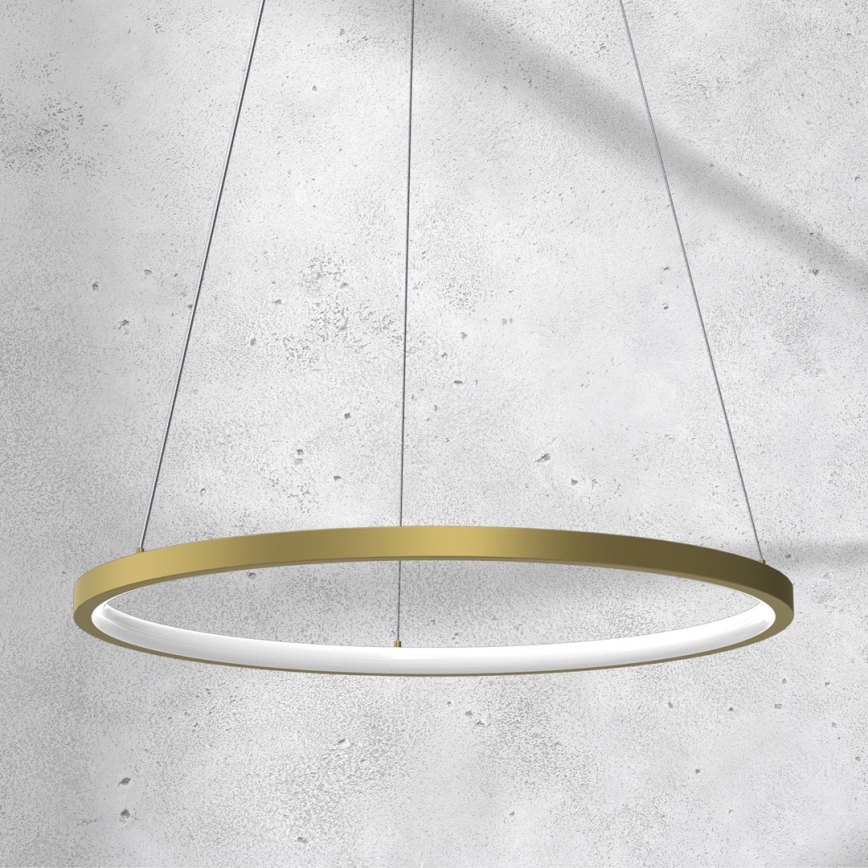 LED Lustra ar auklu ROTONDA LED/27W/230V zelta