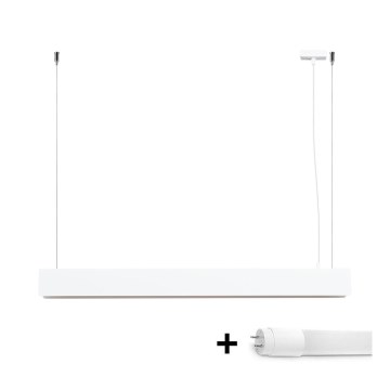 LED Lustra ar auklu SPARK 1xG13/8,5W/230V balta