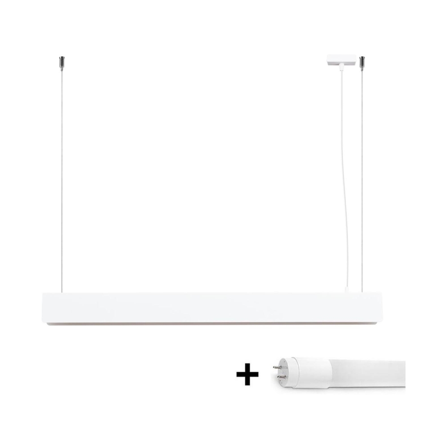 LED Lustra ar auklu SPARK 1xG13/8,5W/230V balta