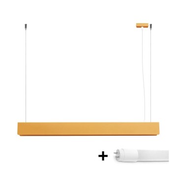LED Lustra ar auklu SPARK 1xG13/8,5W/230V zelta