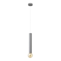 LED Lustra ar auklu TUBA 1xGU10/20W/230V pelēka