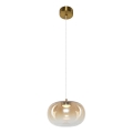 LED Lustra ar auklu VASO LED/4W/230V d. 18 cm zelta/dūmakains