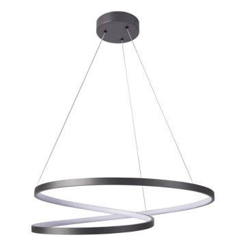 LED Lustra ar auklu ZEFIRA LED/52W/230V 4000K d. 60 cm antracīta