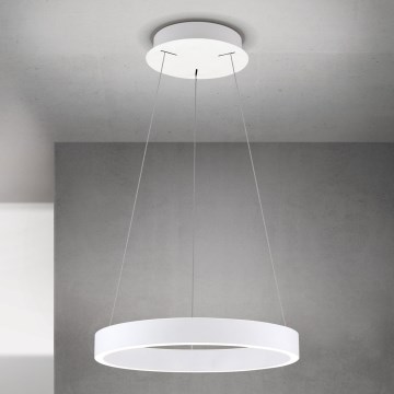 LED lustra ar regulējamu spilgtumu uz vada KOLK LED/40W/230V 2700/3000/4000K Ø40 cm balta