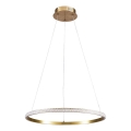 LED lustra ar vadu DIANA LED/25W/230V 4000K Ø 50 cm zelta krāsā