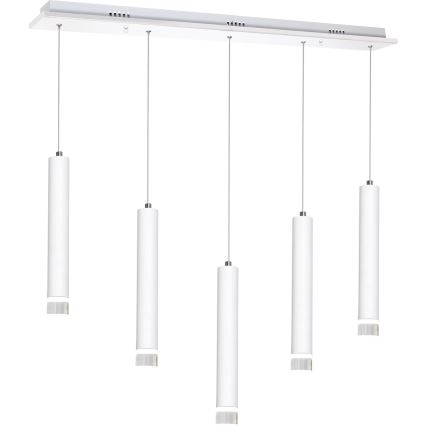 LED Lustra uz auklas ALBA 5xLED/25W/230V balts