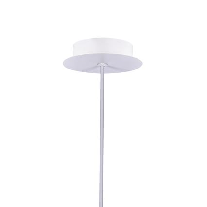 LED Lustra uz auklas MODENA LED/5W/230V
