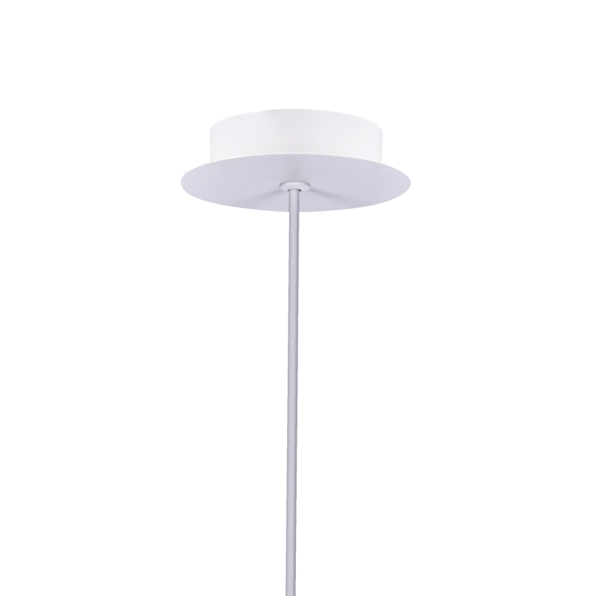 LED Lustra uz auklas MODENA LED/5W/230V