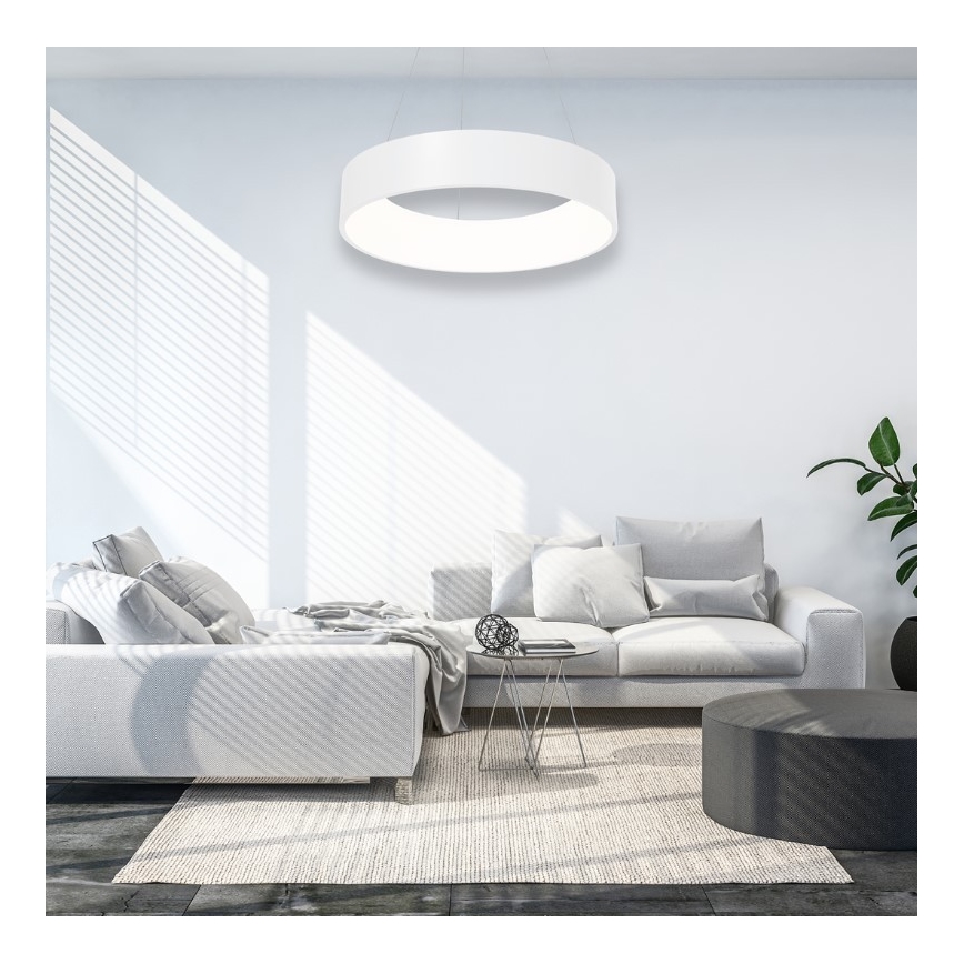 LED Lustra uz auklas OHIO LED/24W/230V