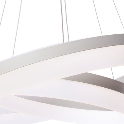 LED Lustra uz auklas RING ar tālvadības pulti LED/60W/230V