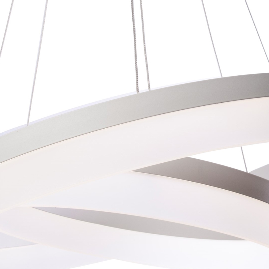 LED Lustra uz auklas RING ar tālvadības pulti LED/60W/230V