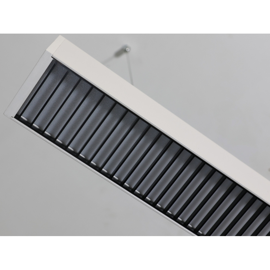 LED lustra uz kabeļa LED/55W/230V 3000/4000/6500K 120 cm balta