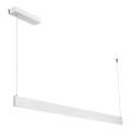 LED lustra uz kabeļa LINEA LED/36W/230V 3000/4000/5700K CRI 90 balta