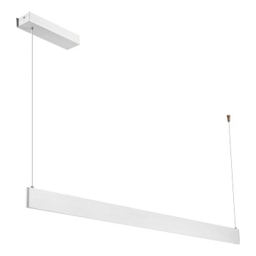 LED lustra uz kabeļa LINEA LED/36W/230V 3000/4000/5700K CRI 90 balta