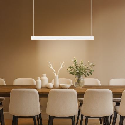 LED lustra uz kabeļa LINEA LED/36W/230V 3000/4000/5700K CRI 90 balta