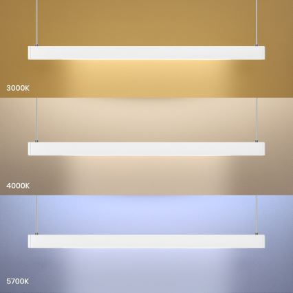 LED lustra uz kabeļa LINEA LED/36W/230V 3000/4000/5700K CRI 90 balta
