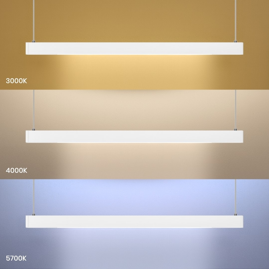 LED lustra uz kabeļa LINEA LED/36W/230V 3000/4000/5700K CRI 90 balta