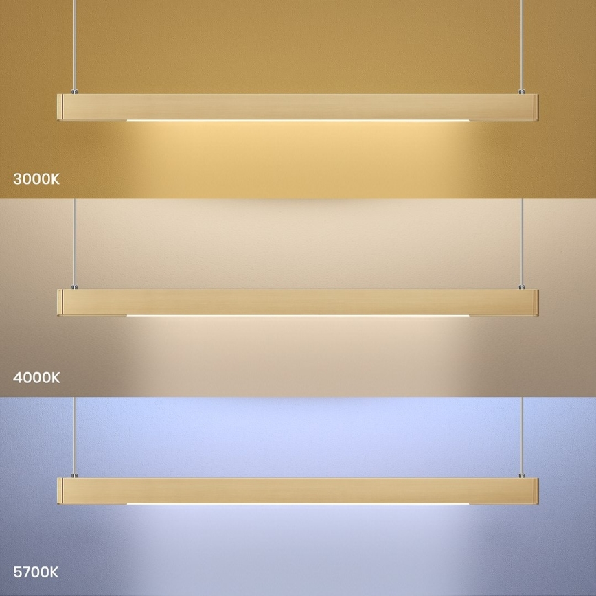 LED lustra uz kabeļa LINEA LED/36W/230V 3000/4000/5700K CRI 90 zelta