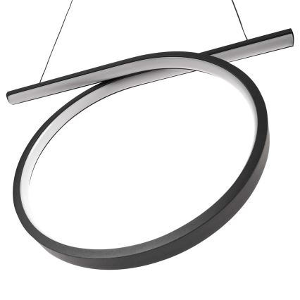 LED lustra uz kabeļa ODETTA LED/30W/230V 4000K melna