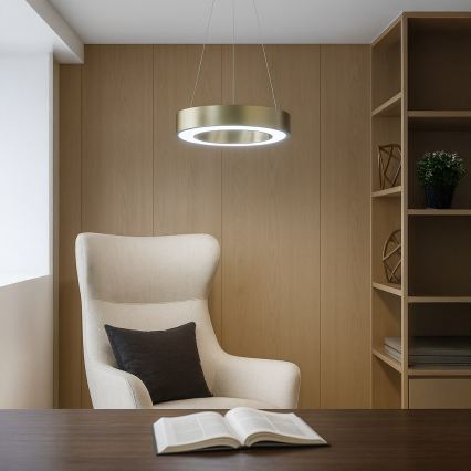 LED lustra uz kabeļa UNION LED/40W/230V 3000/4000/6500K Ø 40 cm, zelta