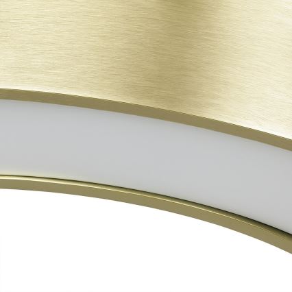 LED lustra uz kabeļa UNION LED/40W/230V 3000/4000/6500K Ø 40 cm, zelta