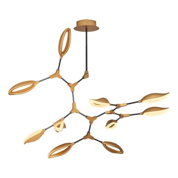 LED lustra uz stieņa ASTI 10xLED/7W/230V 3000K zeltaina