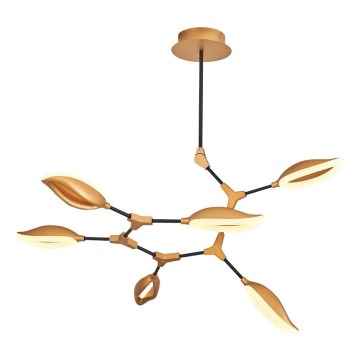 LED lustra uz stieņa ASTI 6xLED/7W/230V 3000K zelta